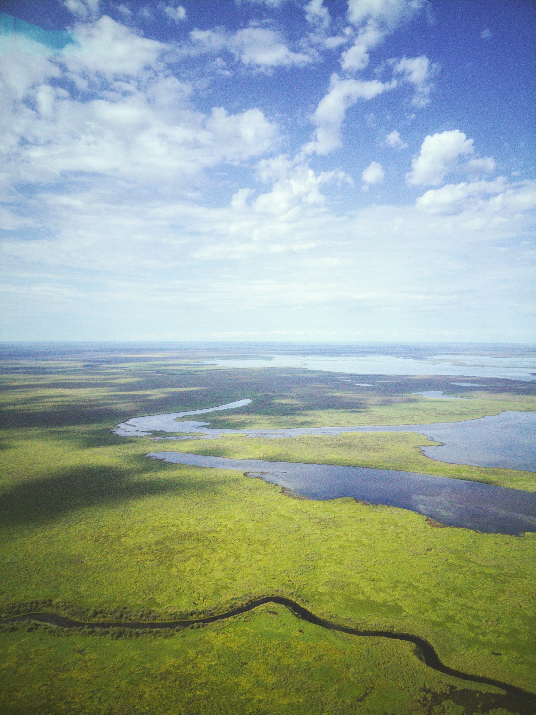 Aerial view of broad wetlands crossed by winding channels