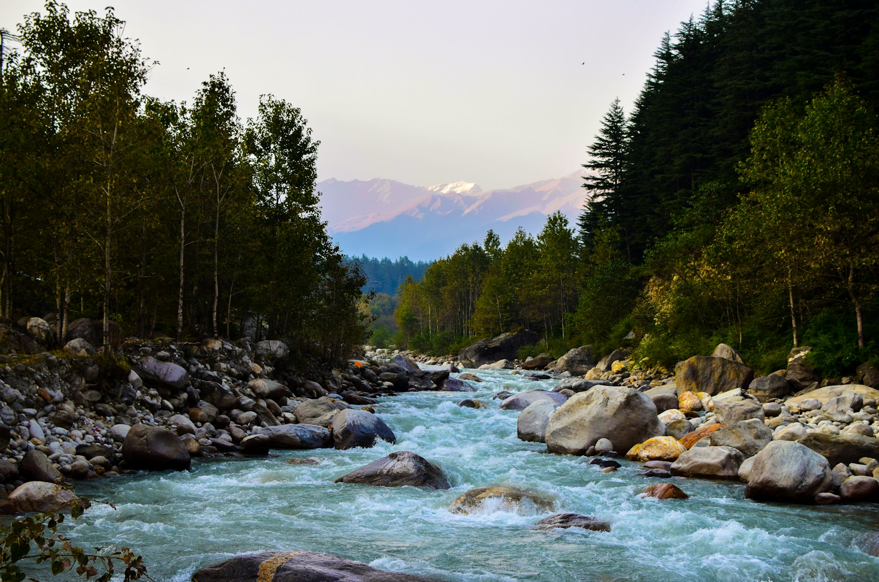 Fast mountain river passing between boulders and forested slopes
